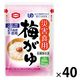 【非常食】亀田製菓 災害用梅がゆ 200g 5年保存 1セット（1食×40）
