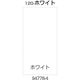 リッチェル 面板 120ーホワイト 94778 1枚 176-4593（直送品）