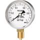 右下精器製造 右下 グリセリン入圧力計 圧力レンジ0~0.25MPa 接続部サイズG1/4B GLT-11-0.25MPA 1個（直送品）