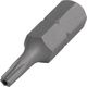 ワールドツール アストロプロダクツ AP ビット いじり止めヘックスローブ T10 2002000032232 1個 253-6448（直送品）
