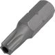 ワールドツール アストロプロダクツ AP ビット いじり止めヘックスローブ T27 2002000032270 1個 253-7984（直送品）