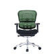 【軒先渡し】 エルゴヒューマン プロ ロー 背メッシュ座モールドクッション 可動肘付 独立式ランバーサポート付 グリーン×ブラック 1脚（直送品）