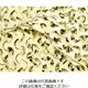 Camo Systems プロ レギュラーXミリタリー デザート 3mX3m XRM3X3DC 1枚 855-0450（直送品）