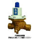 ベン 減圧弁 RD31NーFHー50A 1個（直送品）