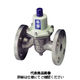 ベン 減圧弁 RD35FNーDHー65A 1個（直送品）