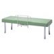 診察台（サイドレール付）ライトグリーン DF-SPS 大信工業 　　（直送品）