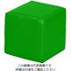 弘益 キッズガーデン クッション・四角 グリーン KID-K30-GN 1個 7-3368-04（直送品）