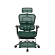 【軒先渡し】 エルゴヒューマン プロ オットマン内蔵 オフィスチェア エラストメリックメッシュ 肘付 ダークグリーン EHP-LPL 1脚（直送品）