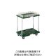 トラスコ中山 TRUSCO 樹脂製台車 ルートバン 2段式 こぼれ止め1段付 400X600 緑 MPB-602K-GN 1台（直送品）