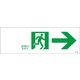 日本緑十字社 通路誘導標識 FAー901 「非常口→」 065901 1セット(10枚)（直送品）