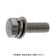 ステンレス 六角トリーマ P=3(SW+JIS W組込) 6X60 ゼン 110200030060060000 1箱(100個)（直送品）