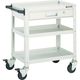 トラスコ中山 TRUSCO ツールワゴン バーディワゴン 600X400 引出付 ホワイト BDW-763V-W 1台 450-1454（直送品）