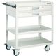 TRUSCO ツールワゴン イーグルワゴン 750×500 2段引出付 ウレタン4輪自在 ホワイト EGW-973V2UJ-W 1台（直送品）