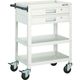 トラスコ中山 TRUSCO ツールワゴン バーディワゴン 750X500 引出付 ホワイト BDW-973V2-W 1台 450-1713（直送品）