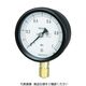 長野計器 長野 密閉形圧力計 A枠立型 Φ75 最小目盛0.005 BC10-131-0.25MP 1個 161-4291（直送品）