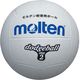 モルテン(molten) ドッジボール2号球 白 D2W 2個（直送品）