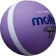 モルテン(molten) ソフトドッジボール2号球 パープル SFD2VL 2個