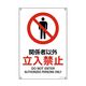日本緑十字社 JIS規格安全標識 関係者以外立入禁止 JAー128L 450×300mm エンビ 391128 1枚 64-9301-11（直送品）