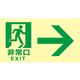 日本緑十字社 高輝度蓄光避難誘導標識 非常口→ TKN103 120×220mm 東京都条例適合品 068043 1枚 64-9538-82（直送品）