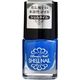 コスメステーション SHELL NAIL シェルネイル SN-1 4582400839023 1セット(5ML×72点セット)（直送品）