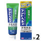 デントヘルスハミガキ無研磨ゲル 85g 1セット（2本） ライオン 歯磨き粉 歯周病予防