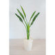 岩や 人工樹木／人工観葉植物　ストレチア A-0007 1個（直送品）