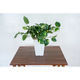 岩や 人工樹木／人工観葉植物　ポトス A-0015 1個（直送品）