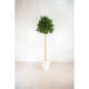 岩や 人工樹木／人工観葉植物　オリーブ　１８０ｃｍ A-0028 1個（直送品）