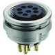 Lumberg 丸型コネクタ， 6極， M16， パネルマウント， 0304ー2 06ー1 1個（直送品）