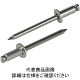 NST4-2P　パックイリ　リベット（100）　NST42P　ロブテックス　（直送品）
