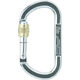 AUSTRIALPIN ALPIN カラビナ OVAL ASYMM XL スクリューロック 線径13.5 シルバー TP11AK 1個（直送品）