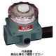 CKD ダイアルレギュレータ 2302ー3CーR 2302-3C-R 1台（直送品）