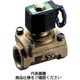 CKD パイロットキック式2ポート電磁弁 APK11-25A-02C-AC200V 1台（直送品）