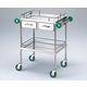 アズワン とっても静かな回診車(引出2個付き) (2段) 750(940)×450×850mm TSB-750 1台 0-1622-12（直送品）