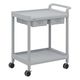 アズワン モバイルストレージカート(引出し付) 2段 705×444×830 MSO21C 1個 7-1085-01（直送品）
