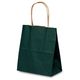 ベルベ 紙袋 自動紐手提袋 T-1 カラー（緑） 1115 1包：200枚（25×8）（直送品）