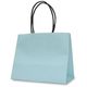 ベルベ 紙袋 手提袋 テミニン ベビーブルー 1469 1包：100枚（10枚入×10パック）（直送品）
