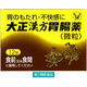 大正漢方胃腸薬 12包 大正製薬　漢方薬 胃のもたれ 不快感 食欲不振【第2類医薬品】
