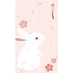 ササガワ のし袋 縁起もん 五型 兎 5-3862 1セット(1冊(5枚)×5)