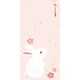 ササガワ のし袋 縁起もん 万型 兎 5-3882 1セット(1冊(3枚)×5)
