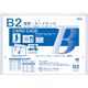共栄プラスチック ORIONS 硬質カードケース B2 CC-2 1枚