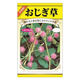 ニチノウのタネ　日本農産種苗 おじぎ草 4960599322685 1セット（5袋入）（直送品）