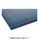 テラモト テラクッション極厚 ブルー 450×600mm MR-069-020-3 1枚 102-7329（直送品）