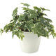 アートクリエイション フレッシュ斑入りアイビー 2253A50 フェイクグリーン（直送品）