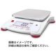 電子てんびん SPX6201 31040462 オーハウス（直送品）