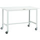 TRUSCO 軽荷重作業台(150kg)AE型 1800X750XH808 φ75キャスター付 ダークグレー色 RAE-1800C75 DG（直送品）