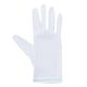 アズワン 品質管理手袋(ナイロンダブル) S 10双入 4-1086-01 1袋(10双)（直送品）