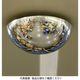 ユニット ドームミラー 天井直取付タイプ 869-381 1台（直送品）