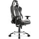 AKRacing オフィスチェア PREMIUM LOW シルバー PREMIUM/LOW-SILVER 1脚（取寄品）