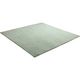 イケヒコ ラピアス ラグ 2000×2000mm ピスタチオグリーン 1280311121203 1枚（直送品）
